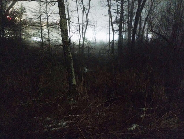 Silence