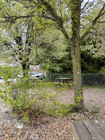 Beauty in the Simplicitiy